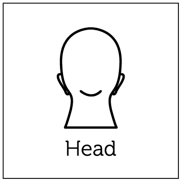 Head