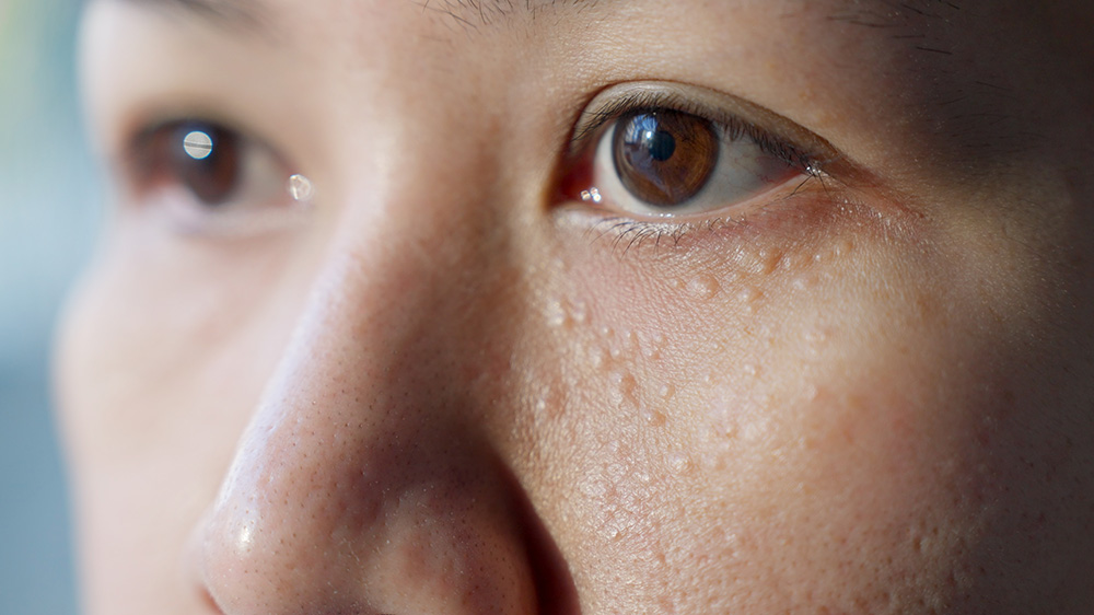 shutterstock 2244281707